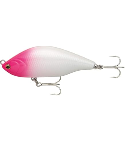 Amazon | ラパラ(Rapala) ノースクラフト エアーオグル AOG70SLM